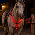 Breast Collar for your Horse