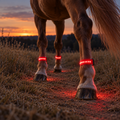 Led Bands for your Horse